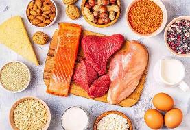 غذاهای پروتئینی مناسب افراد مسن
