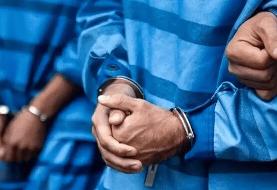 دستگیری ۳۰ نفر در ملارد