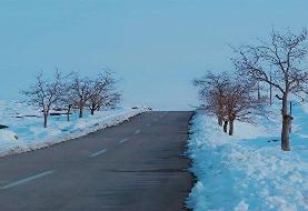 این  ۸ استان برفی می شوند | فعالیت سامانه بارشی در کشور تا یکشنبه