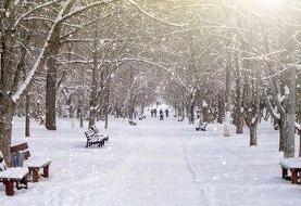 بارش برف و باران در تهران/ جزئیات