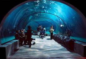 «ذهن آبی» چطور استرس را کاهش می‌دهد؟