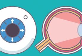 وقتی دچار حملات هراس می‌شویم، چه اتفاقی در بدن‌مان می‌افتد؟/ اینفوگرافیک راهکارهای مقابله