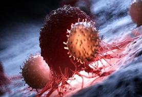 کشف پروتئینی که رشد سرطان را کُند می‌کند