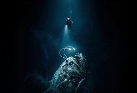 حقایقی درباره دنیای زیر آب ؛ از دریاچه‌های سمی تا کوسه‌ای قدیمی‌تر از کشور آمریکا (تصویری)