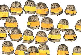 تست بینایی و تمرکز؛ ۹۰ درصد افراد در پیدا کردن این جغد شکست می خورند؛ شما چطور؟