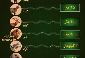 همیشه بعضی ها شما را از کیلومترها دورتر حس می کنند!