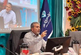 مدیرکل دامپزشکی اصفهان: موارد هاری گربه داریم؛ به گربه‌ها غذا ندهید