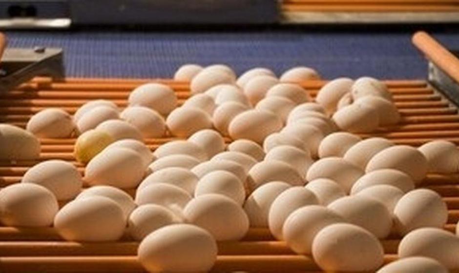 قیمت هر شانه تخم‌مرغ برای مصرف‌کننده اعلام شد