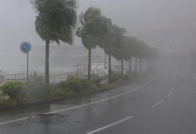 طوفان در تهران | هشدار به پایتخت نشینان؛ در این ساعات بیرون نیایید