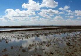 بارندگی‌های به داد کدام تالاب‌ها رسید؟