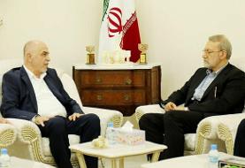 دیدار و گفتگوی لاریجانی با جمعی از رهبران حماس در قطر