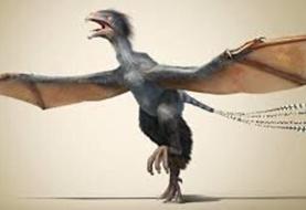 عجیب‌ترین سلاح دایناسورها برای جذب جفت