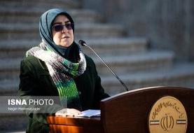 سخنگوی دولت: مشکلی در مورد کالاهای اساسی، دارو و بنزین وجود ندارد