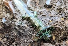 این شمشیر ۳۴۰۰ ساله همچنان تیز و درخشان است | عکس