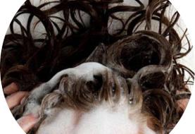 با موی خیس نخوابید؛ این همه مرض در انتظارتان است