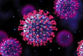 خروج همه استان‌ها از موج آنفلوانزا