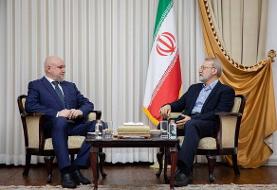 لاریجانی: فشارهای غرب نتوانسته همکاری‌های راهبردی ایران و روسیه را متوقف کند