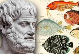 ارسطو چگونه به شکل‌گیری «زیست‌شناسی» کمک کرد؟