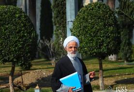 انصاری: مستندسازی خسارات حوادث دی‌ماه در دستور کار دولت است