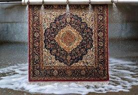 دام پهن شده قالیشویی‌های غیرمجاز برای مردم/ واکنش پلیس