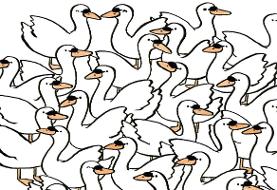 معمای تصویری؛ افراد با دقت زیر ۱۵ ثانیه به جواب می رسند