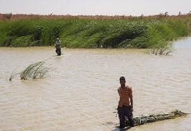 تشکیل ستاد هماهنگی و مدیریت تالاب‌های کشور در سطح ملی