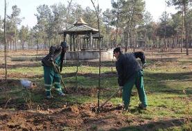 کاشت ۲۴ هزار نهال در بوستان جنگلی سرخه حصار