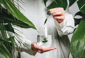 کلروفیل: رنگدانه سبز زندگی