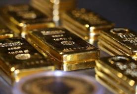 جهش ۶ میلیونی را ژن‌ها تجربه نکردند!