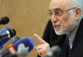 خوش بینی علی‌اکبر صالحی به مذاکرات |  اختیارات دولت و رئیس‌جمهور افزایش یابد