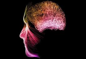 مدیتیشن فعالیت مغز را تغییر می‌دهد