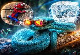 فناوری طبیعت؛ قدرت های فرابشری که علم هنوز در حسرت آن هاست (+تصاویر)