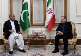 وزیر کشور پاکستان با عراقچی دیدار کرد