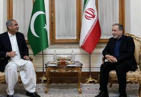 دیدار و گفت‌وگوی عراقچی با وزیر کشور پاکستان