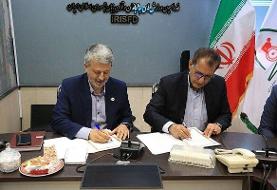 امضا تفاهم نامه همکاری میان فدراسیون‌های همگانی و توان‌یابان