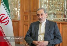 ولایتی: ضامن عینی بقای توافق،⁧‫تنگه هرمز‬⁩ است