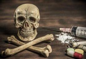 شناسایی مخدرهای جدید با نام‌های «غبار میمون» و «کروکودیل»
