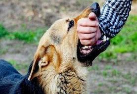 هشدار درباره گردش یک ویروس کشنده در کشور