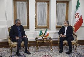 دیدار وزیر کشور پاکستان با وزیر خارجه کشورمان
