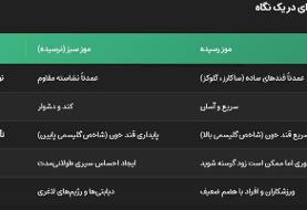 موز سبز یا موز رسیده؛ کدام برای سلامتی مفید است؟/ برای مبتلایان به دیابت کدام موز پیشنهاد می‌شود؟
