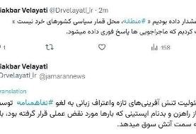 ولایتی: محور مقاومت در برابر تحقیر و ماجراجویی سکوت نمی کند/ اعتراف زبانی به لغو تفاهم بار دیگر ...