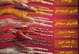 ساختار مهندسی شده دست ؛ ۷ لایه از حفاظت تا حرکت (+اینفوگرافیک)