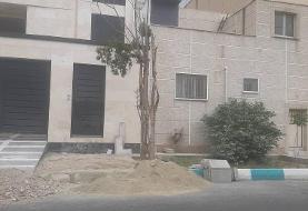 از نگاه شما : مشکلات باغچه‌ها و درختان در منطقه ۲۲ تهران / نه خاک مناسب است و نه آبیاری