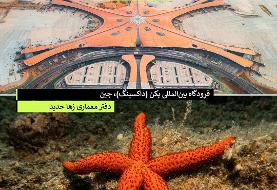 ۱۰ شاهکار معماری جهان که باور نمی کنید از طبیعت کپی شده باشند! (+تصاویر)